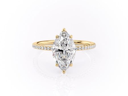 The Pave Lily Set With A 3.5 Carat Marquise Moissanite Online Hot Sale