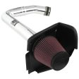 K&N Cold Air Intake Chrysler 300 3.6L V6 (2011-2020) [Typhoon Kits] 69-2544TP Hot on Sale