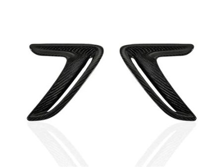 Autotecknic Fender Trim Sets BMW 3 Series GT F34 (2014-2015) Carbon Fiber Supply